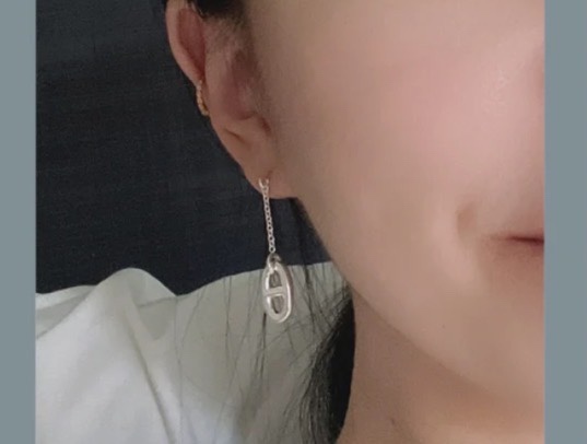 Hermes Earrings